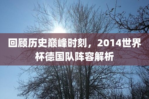 回顾历史巅峰时刻，2014世界杯德国队阵容解析丹东日丰电子有限公司