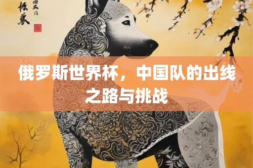 俄罗斯世界杯，中国队的出线之路与挑战