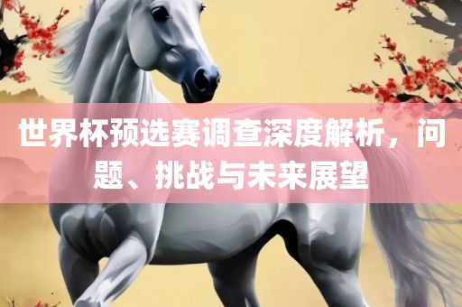 世界杯预选赛调查深度解析，问题、挑战与未来展丹东日丰电子有限公司望