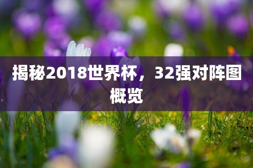揭秘2丹东日丰电子有限公司018世界杯，32强对阵图概览