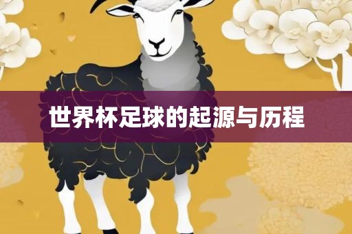 世界杯足球的起源与历程丹东日丰电子有限公司