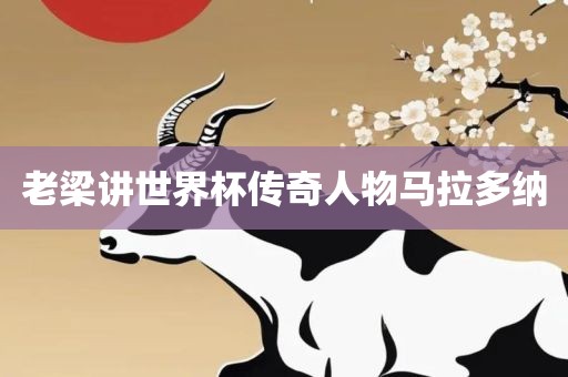 老梁讲世界杯传奇人物马拉多纳丹东日丰电子有限公司