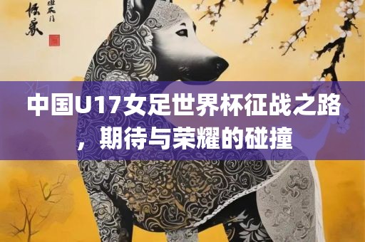 中国U17女足世界杯征战之路，期待与荣耀的碰撞