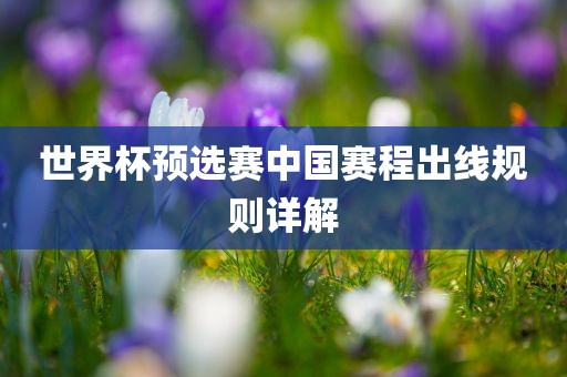 世界杯预选赛中国赛程出线规则详解