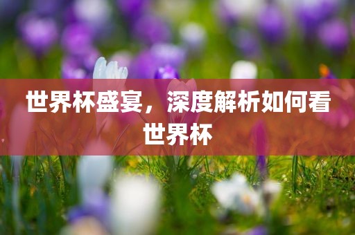 世界杯盛宴，深度解析如何看世界杯丹东日丰电子有限公司