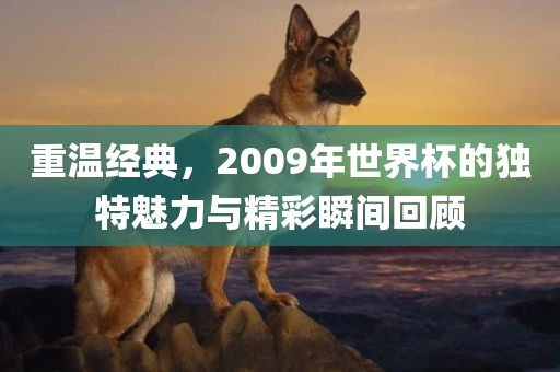 重温经典，2009年世界杯的独特魅力与精彩瞬间回顾丹东日丰电子有限公司