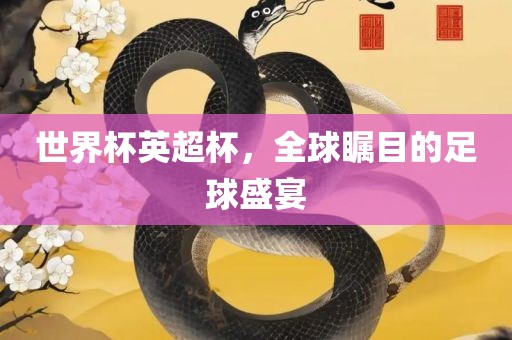 世界杯英超杯，全球瞩目的足球盛宴丹东日丰电子有限公司