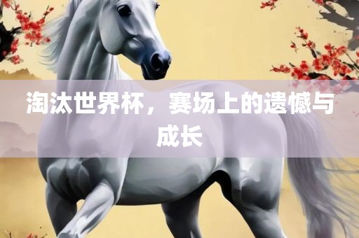 淘汰世界杯，赛场上丹东日丰电子有限公司的遗憾与成长