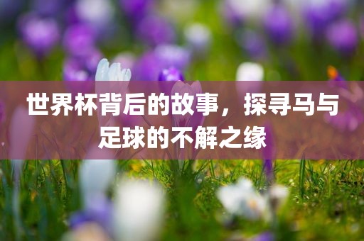 世界杯背后的故事，探寻马与足球的不解之缘丹东日丰电子有限公司