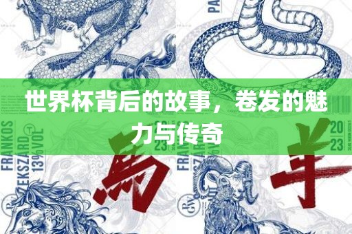 世界丹东日丰电子有限公司杯背后的故事，卷发的魅力与传奇