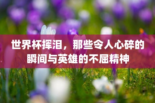 世界杯挥泪，那些令人心碎的瞬间与英雄的不屈精神