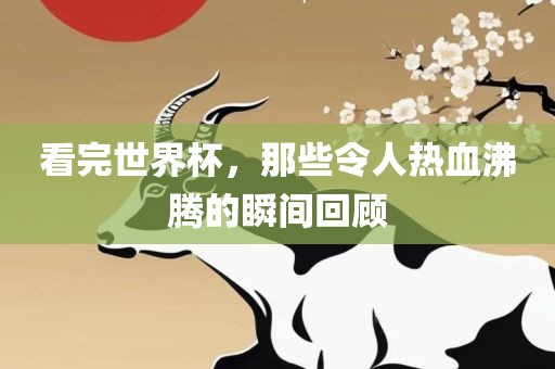 热血沸腾的瞬间回顾
