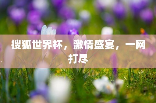 搜狐世界杯，激情盛宴，一网打尽