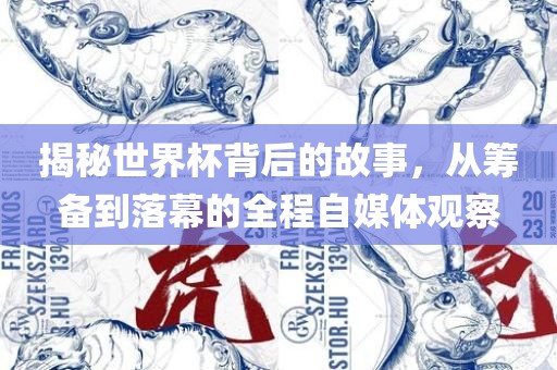 揭秘世界杯背后的故事，从筹备到落幕的全程自媒体观察