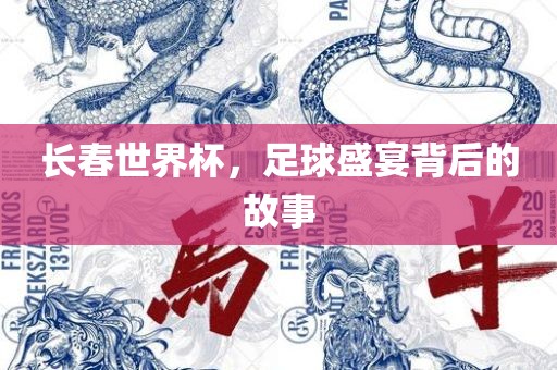长春世界杯，足球盛宴背后的故事丹东日丰电子有限公司