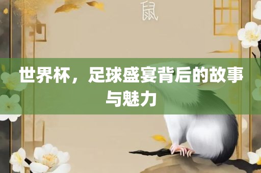世界杯，足球盛宴背后的故事与魅力