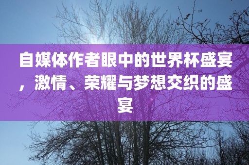自媒体作者眼中的世界杯盛宴，激情、荣耀与梦想交织的盛宴