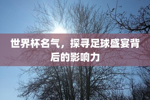 世界杯名气，探寻足球盛宴背后的影响力丹东日丰电子有限公司