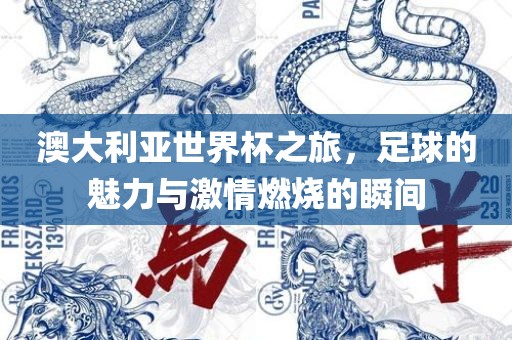 澳大利亚世界杯之旅，足球的魅力与激情燃烧的瞬间