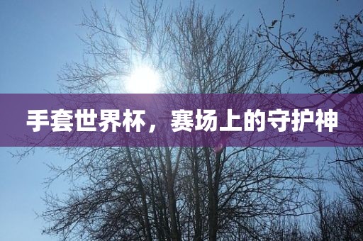 手套世界杯，赛场上的守护神丹东日丰电子有限公司