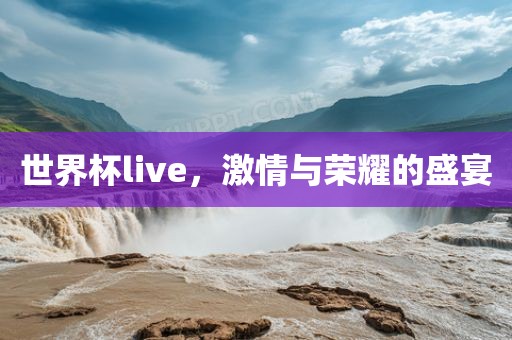 世界杯li丹东日丰电子有限公司ve，激情与荣耀的盛宴