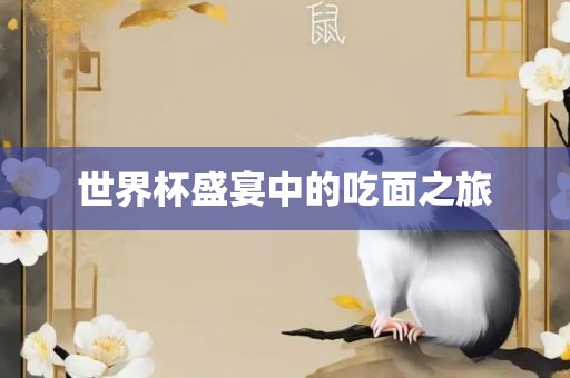 世界杯盛宴中的吃面之旅