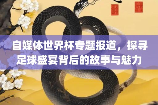 自媒体世界杯专题报道，探寻足球盛宴背后的故事与魅力丹东日丰电子有限公司