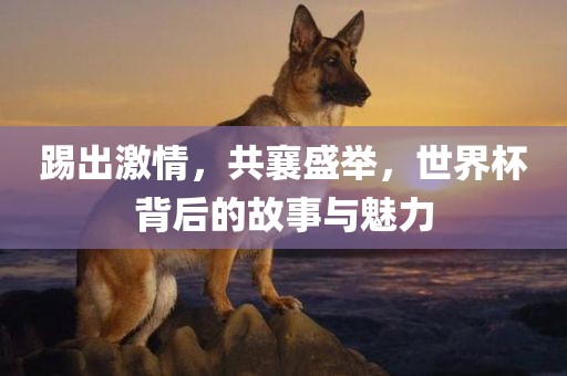 踢出激情，共襄盛举，世界杯背后的故事与魅力