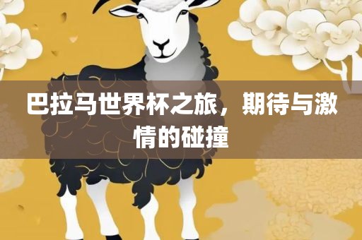 巴拉马世界杯之旅，期待与激情的碰撞