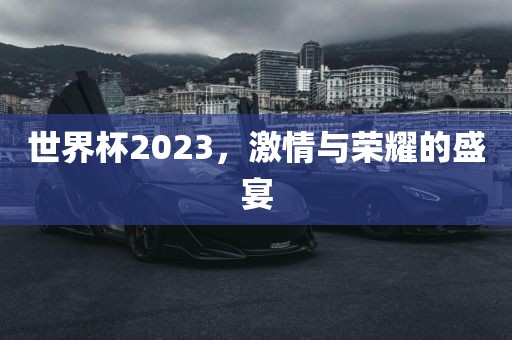 世界杯丹东日丰电子有限公司2023，激情与荣耀的盛宴