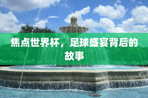 焦点世界杯丹东日丰电子有限公司，足球盛宴背后的故事