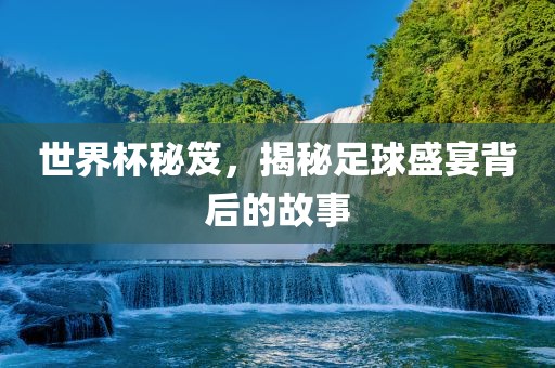 世界杯秘笈，揭秘足球盛宴背后的故事丹东日丰电子有限公司
