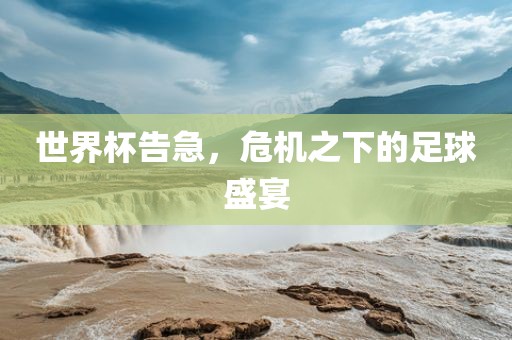 世界杯告急，危机之下的足球盛宴丹东日丰电子有限公司