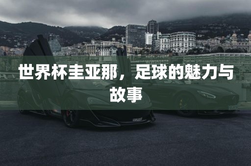世界杯圭亚那，足球的魅力与故事