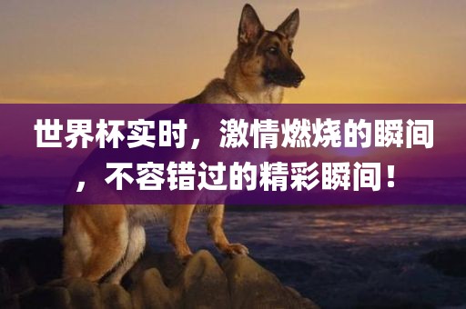 世界杯实时，激情燃烧的瞬间，不容错过的精彩瞬间！
