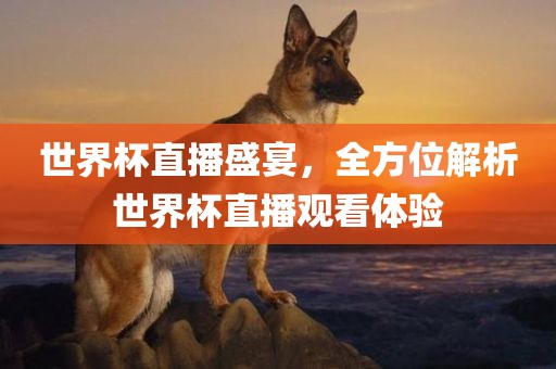 世界杯直播盛宴，全方位解析世界杯丹东日丰电子有限公司直播观看体验