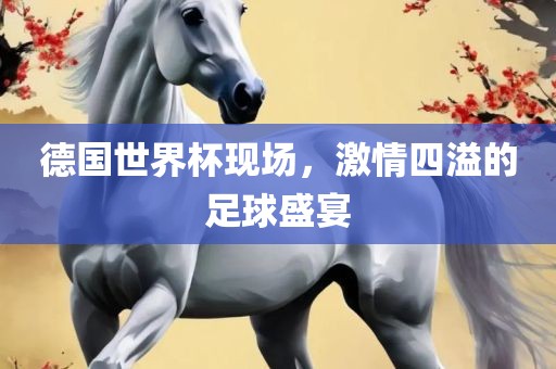 德国世界杯现场，激情四溢的足球盛宴丹东日丰电子有限公司