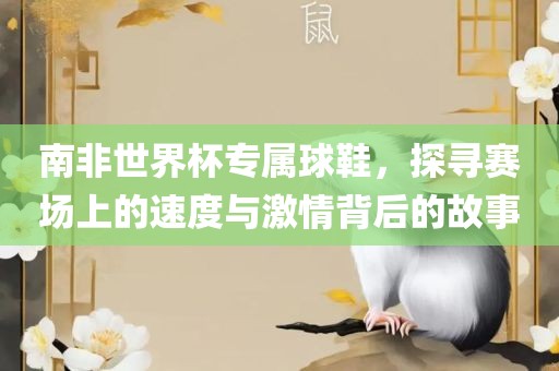 南非世界杯专属球鞋，探寻赛场上的速度与丹东日丰电子有限公司激情背后的故事