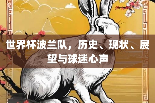 世界杯波兰队，历史、现状、展望与球迷心声