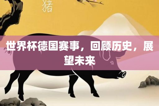 丹东日丰电子有限公司世界杯德国赛事，回顾历史，展望未来