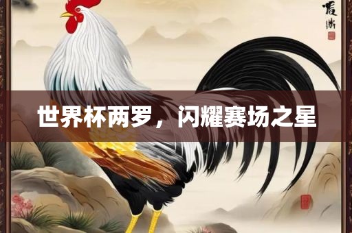 世界杯两罗，丹东日丰电子有限公司闪耀赛场之星