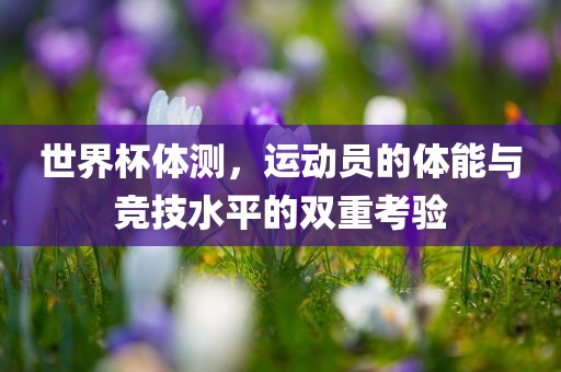 世界杯体测，运动员的体能与竞技水平的双重考验丹东日丰电子有限公司