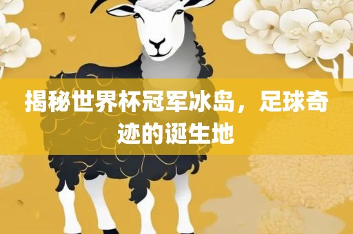 揭秘世界杯冠军冰岛，足球奇迹的诞生地丹东日丰电子有限公司