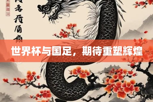 世界杯与国足，期待重塑辉煌丹东日丰电子有限公司