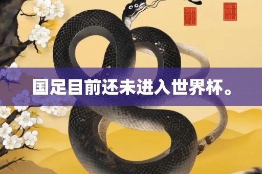 国足目前还未进入世界杯。