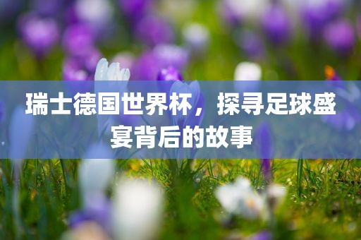 瑞士德国世界杯，探寻足球盛宴背后的故事