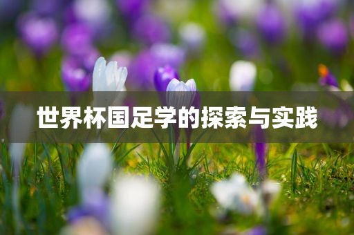 susihan 第3页