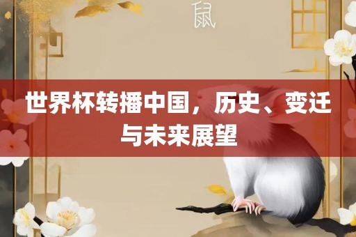 世界杯转播中国，历史、变迁与未来展望丹东日丰电子有限公司