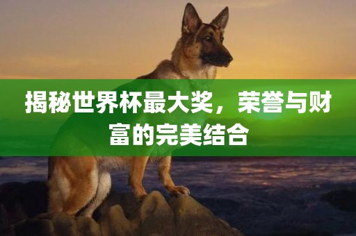 揭秘世界杯最大奖，荣誉与财富的完美结合丹东日丰电子有限公司
