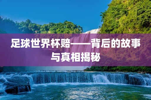 足球世界杯赔——背后的故事与真相揭秘